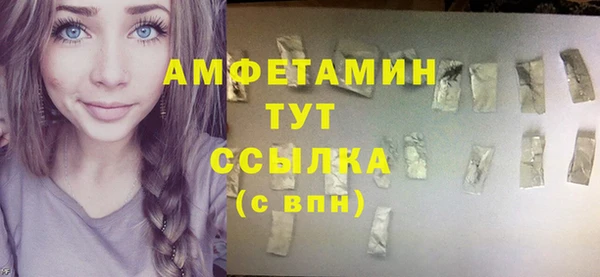 сатива Бородино