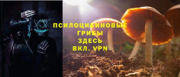 сатива Бородино