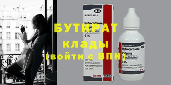 сатива Бородино
