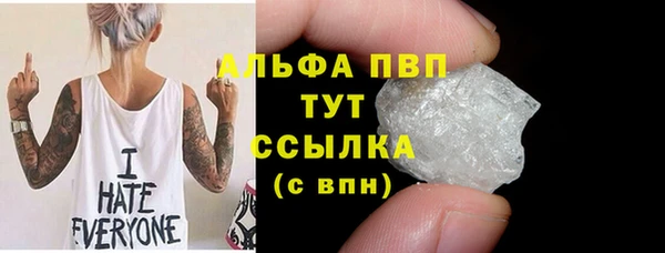 сатива Бородино