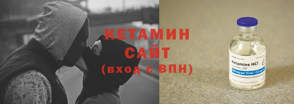 сатива Бородино