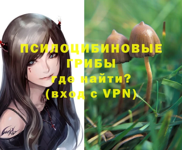 сатива Бородино