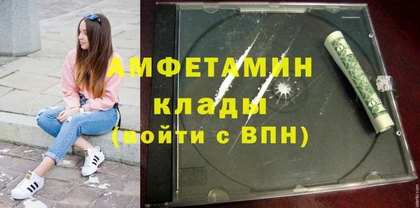 сатива Бородино