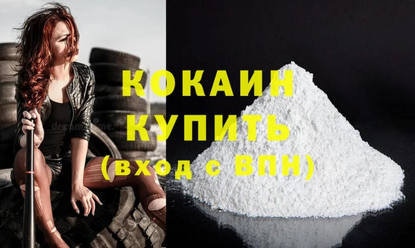 сатива Бородино