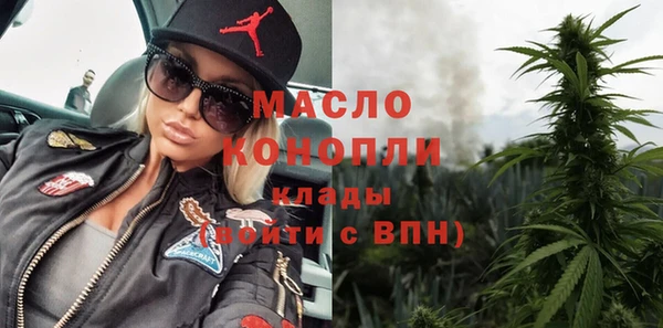 сатива Бородино