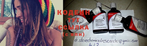 сатива Бородино