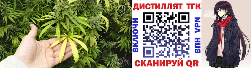 ТГК Wax  где можно купить наркотик  Буй 