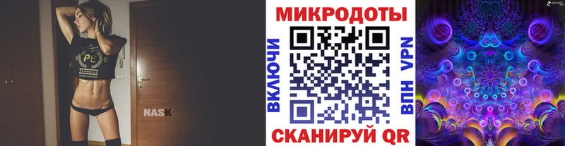 где можно купить   Буй  Галлюциногенные грибы MAGIC MUSHROOMS 